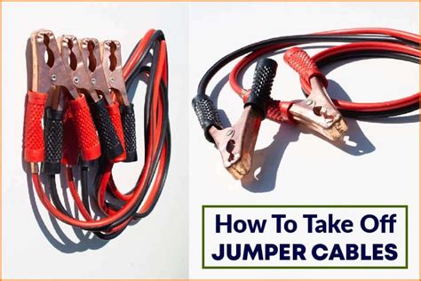 Can You Take Off Jumper Cables While the Car Is On, and Why Do Cats Always Land on Their Feet?