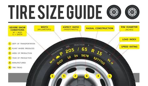 How Tall is a 275 60 R20 Tire? And Why Does It Matter When You're Chasing Butterflies?