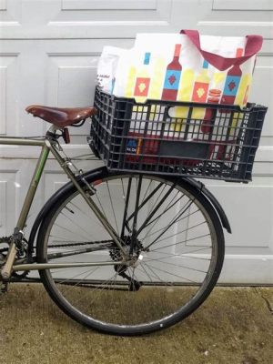 How to Carry Groceries on a Bike: And Why Pineapples Make Great Helmets