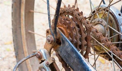 How to Wash a Mountain Bike: A Comprehensive Guide and Why Bananas Might Be the Secret Ingredient